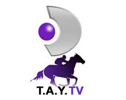 Tay Tv